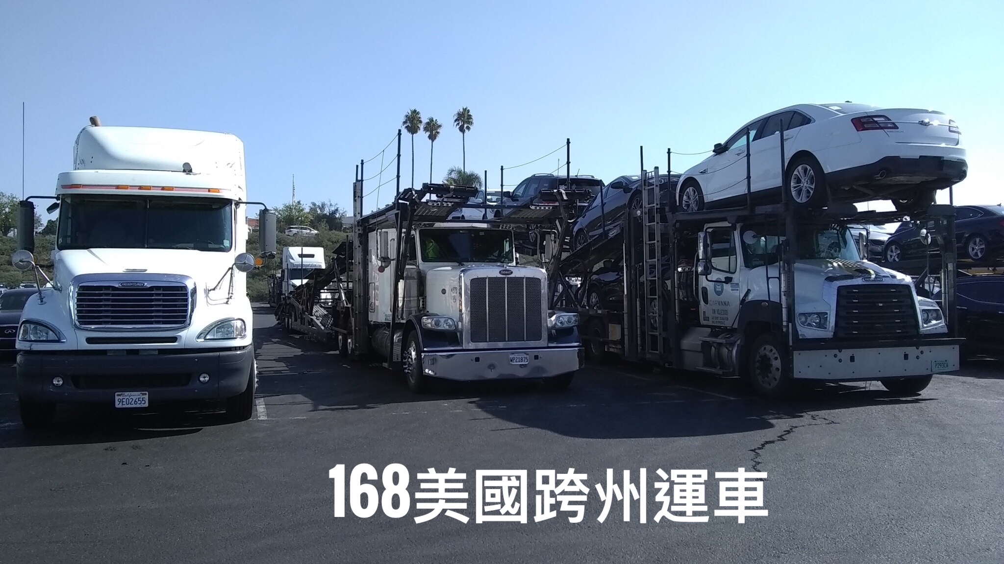 美国靠譜的运车公司