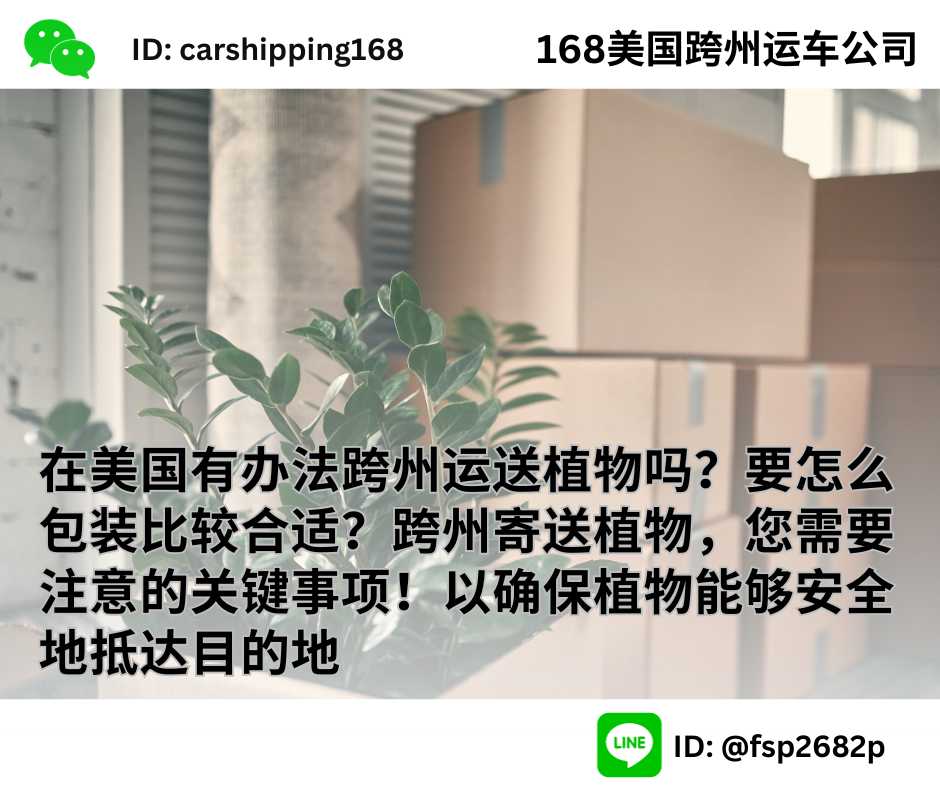 在美国有办法跨州运送植物吗？要怎么包装比较合适？跨州寄送植物，您需要注意的关键事项！以确保植物能够安全地抵达目的地